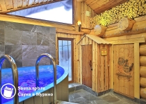 sauna v murino p46